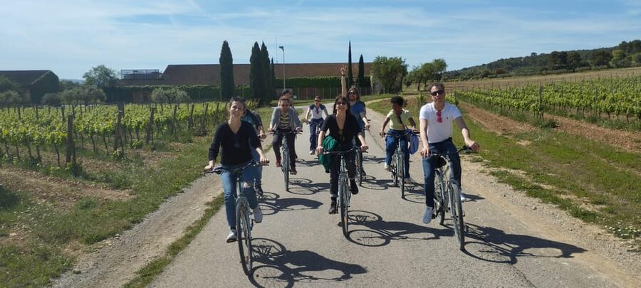 From Sitges: Cycling Tour with Winery visit and Tasting - A gentle 15-kilometre ride through Penedès