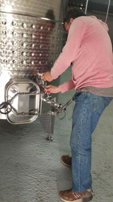 From Sitges: Wine Tasting at 2 Wineries with Hotel Pickup - Should you book this tour?