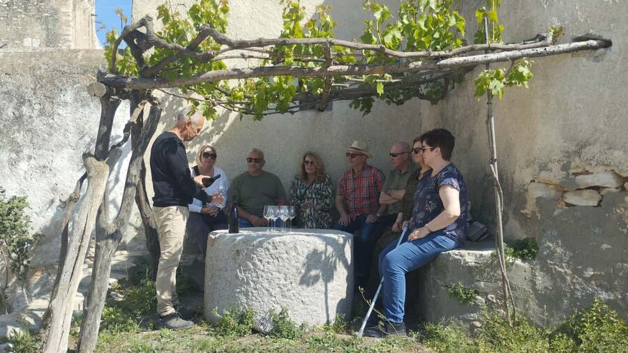 From Sitges: Wine Tasting at 2 Wineries with Hotel Pickup - First winery: history, cellar work, and a close look at production
