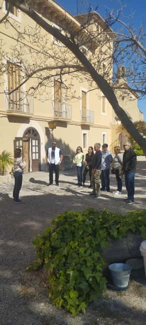 From Sitges: Wine Tasting at 2 Wineries with Hotel Pickup - The five-minute transfer and the value of seeing two producers