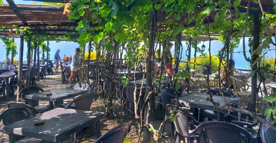 From Sorrento: Mount Vesuvius Tour with Lunch & Wine Tasting - From Sorrento to a volcano above the Bay of Naples