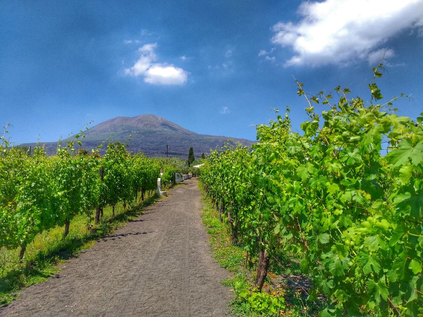 From Sorrento: Mount Vesuvius Tour with Lunch & Wine Tasting - The possible limoncello and farm-shop stop