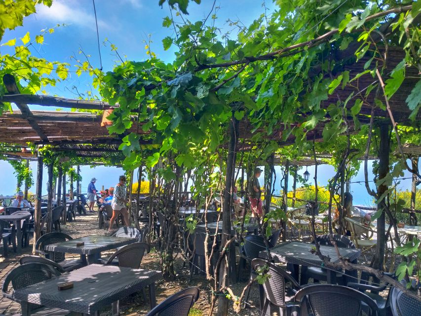 From Sorrento: Mount Vesuvius Tour with Lunch & Wine Tasting - Transport, comfort, and the pace of the day