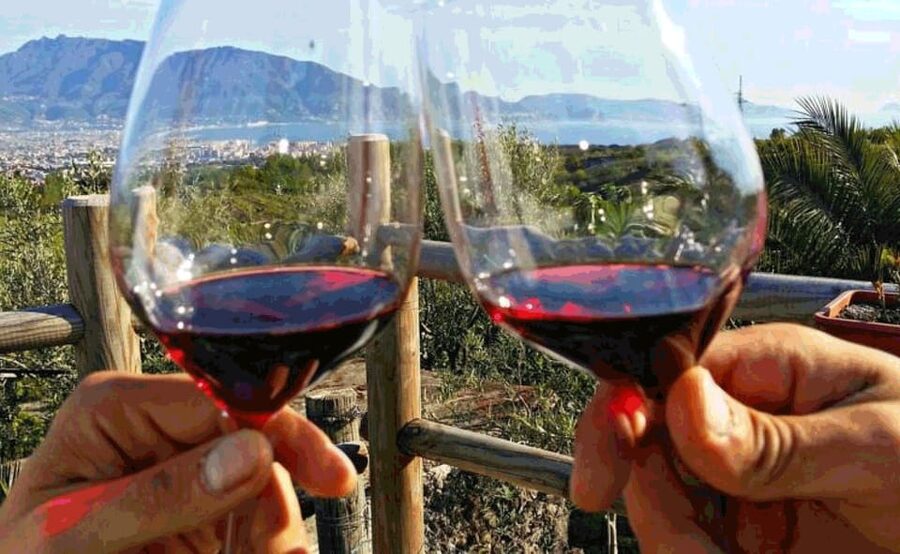 From Sorrento: Pompeii & Mt. Vesuvius Tour with Lunch & Wine - What the $192.58 price covers