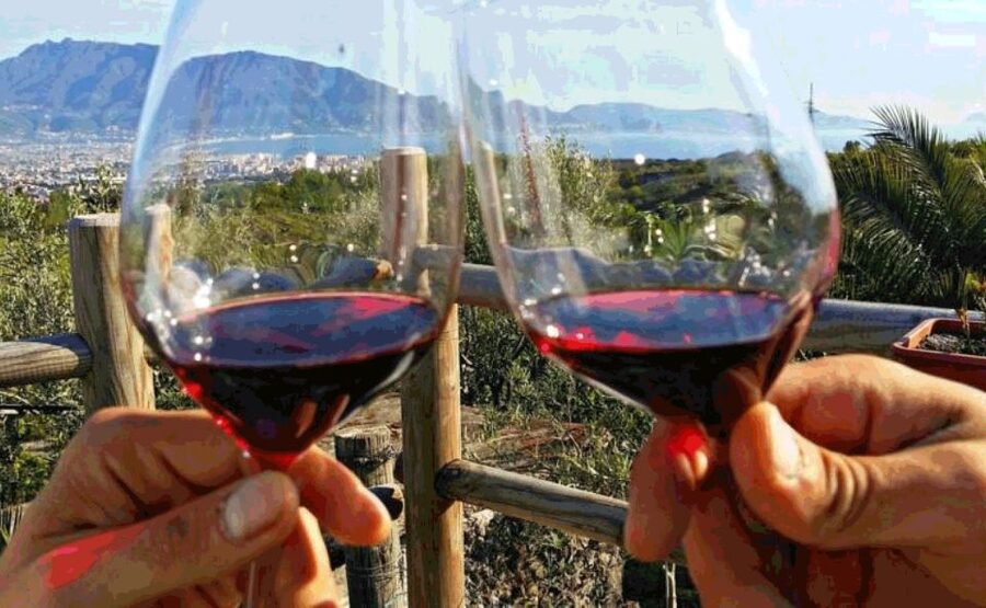 From Sorrento: Pompeii & Mt. Vesuvius Tour with Lunch & Wine - Who should book this Sorrento day trip?