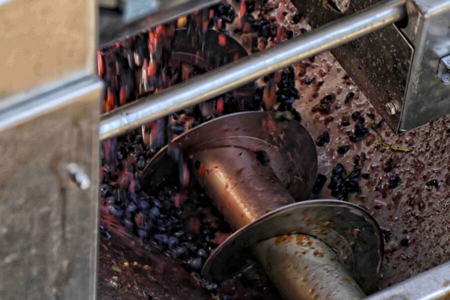 From Sorrento: Winery Tour, Tasting & Lunch - The private transfer to the winery