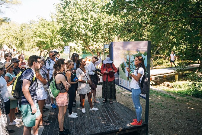From Split: Krka Waterfalls, Food & Wine Tasting Tour - The guide makes a real difference