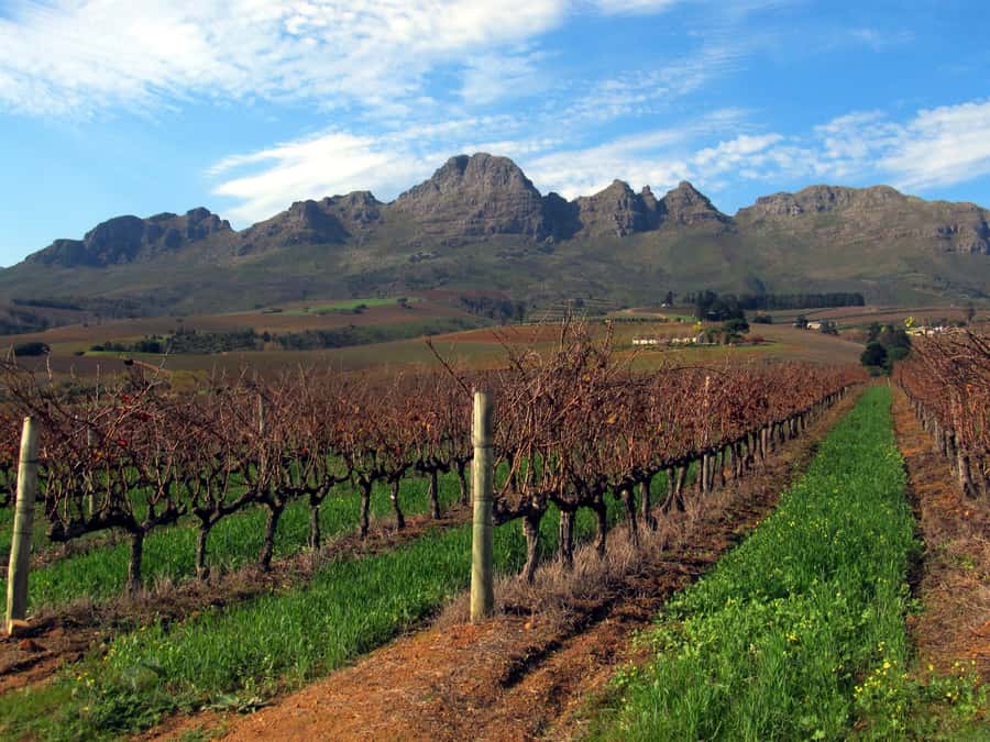 From Stellenbosch: Hop-On Hop-Off Wine Tour Southern Route - Key points to know before you go