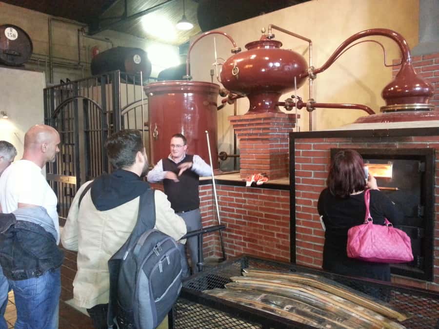 From Stellenbosch: Hop-On Hop-Off Wine Tour Southern Route - Kleine Zalze for award-winning wine