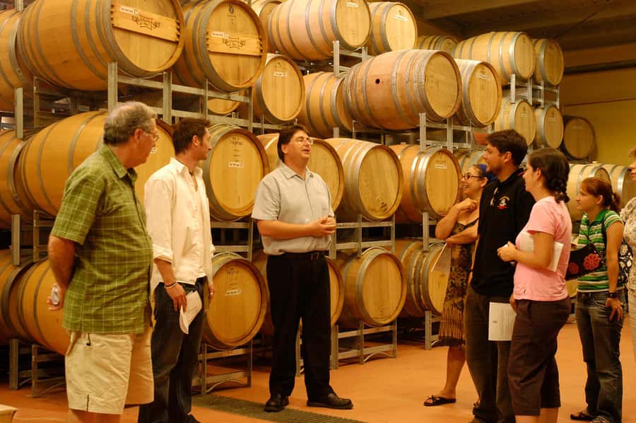 From Sydney: All Inclusive Boutique Hunter Valley Wine Tour - What the Wine Is Like