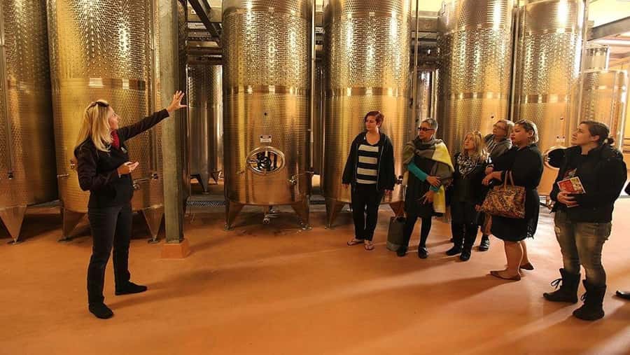 From Sydney: Award-Winning Hunter Valley Wine & Cheese Tour - Key points to know