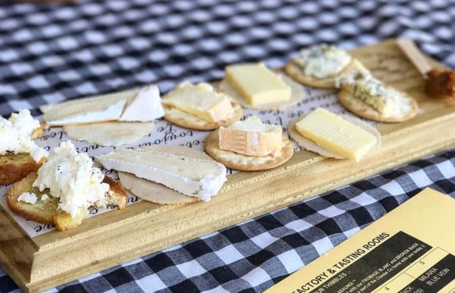 From Sydney: Award-Winning Hunter Valley Wine & Cheese Tour - Why this Hunter Valley day trip works