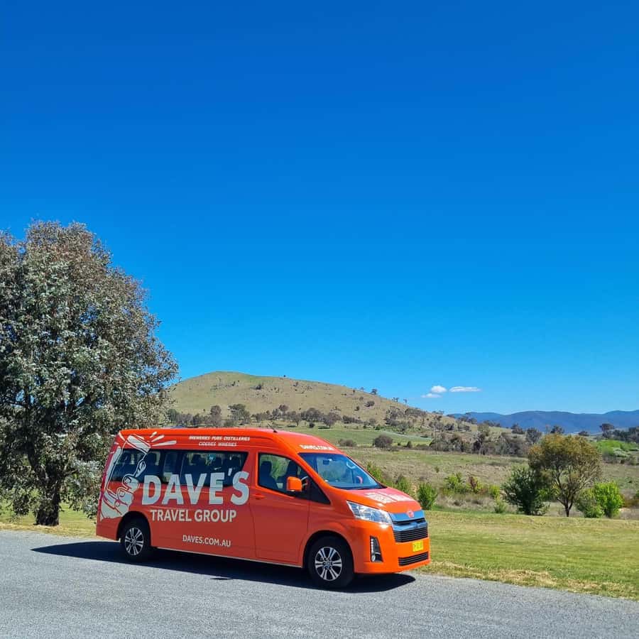 From Sydney: Hunter Valley Wine, Gin & Food Tastings Tour - Cheese and wine, then chocolate and dessert