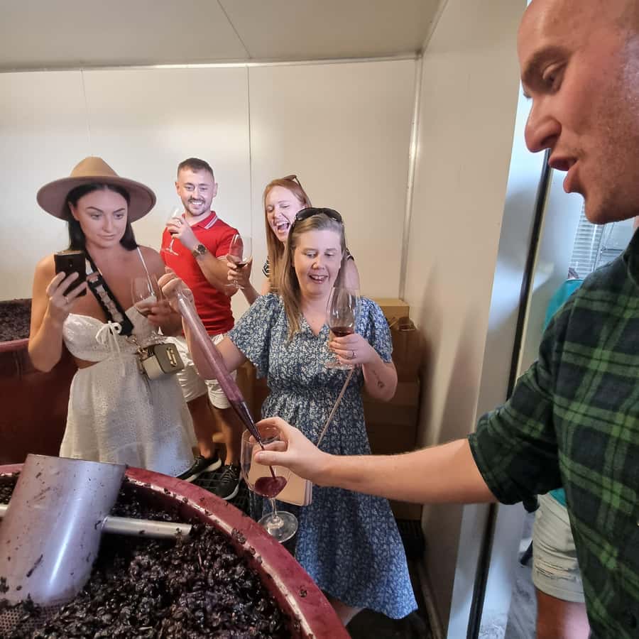 From Sydney: Hunter Valley Wine, Gin & Food Tastings Tour - What the $159 price really buys you