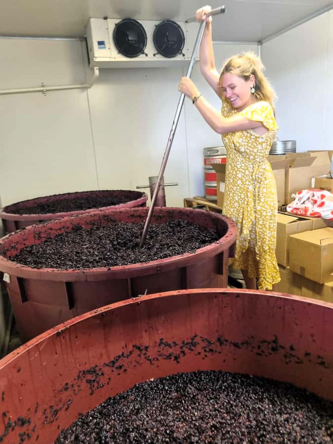 From Sydney: Hunter Valley Wine, Gin & Food Tastings Tour - The morning ride through New South Wales