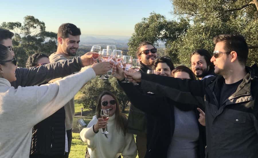 From Sydney: Hunter Valley Wine Tasting & Winery Picnic Tour - Sobels Winery and the first tasting
