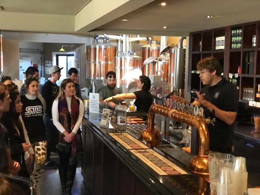 From Sydney: Hunter Valley Wine Tasting & Winery Picnic Tour - Who should book this experience