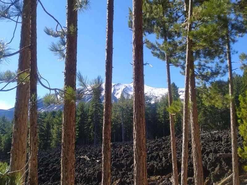 From Taormina: Etna Walking Tour and Wine Tasting in Winery - Reaching the tourist resort at 1,800 to 2,000 meters