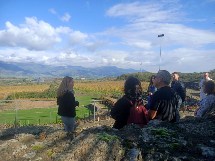 From Taormina: Etna Wineries Small Group Tour - Key points to know before booking