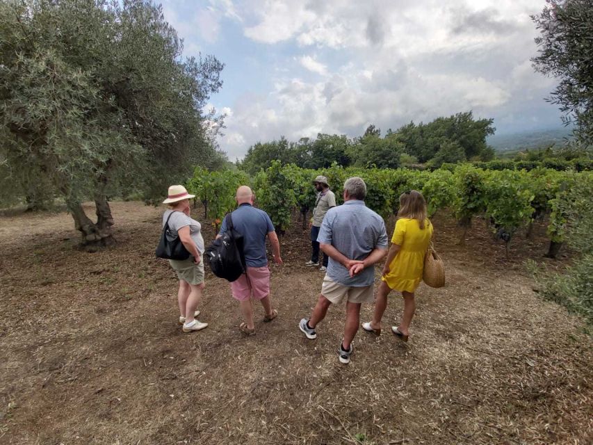 From Taormina: Etna Wineries Small Group Tour - The guides can shape the whole experience