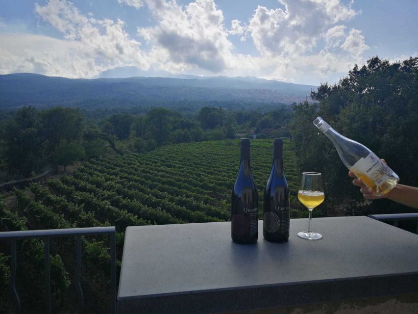 From Taormina: Etna Wineries Small Group Tour - The morning pickup and drive from Taormina