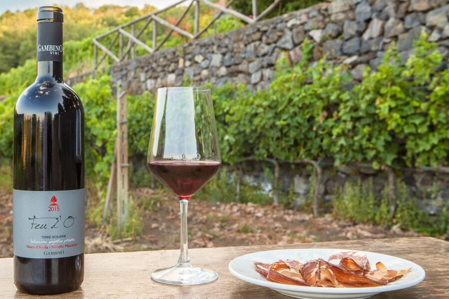 From Taormina: Private 3 Etna Wineries with Food & Wine - Key points to know before booking