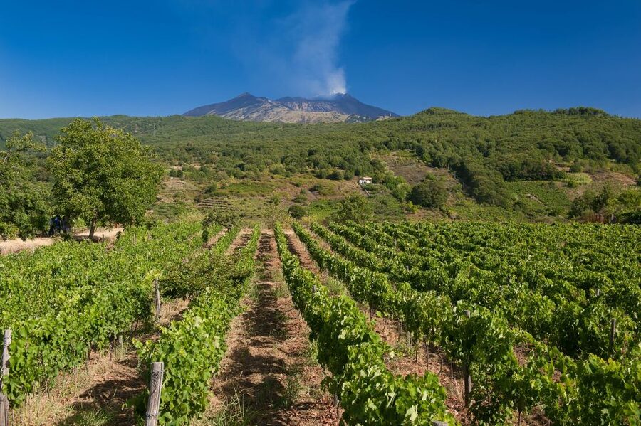 From Taormina: Private 3 Etna Wineries with Food & Wine - Why the private car makes a real difference