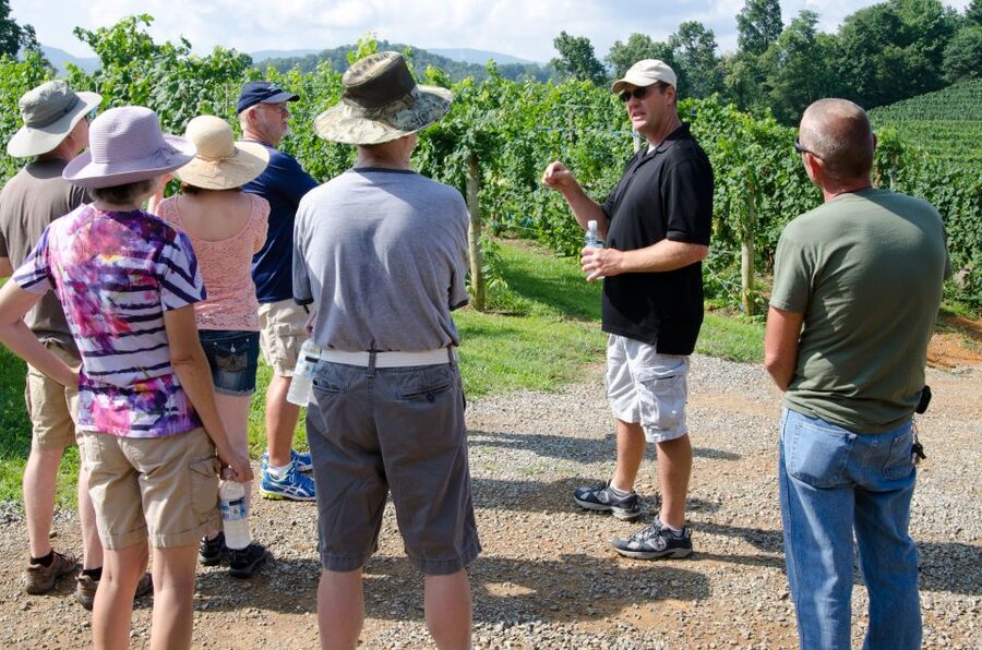 From Taormina: Private 3 Etna Wineries with Food & Wine - First stop: a small producer with bruschetta and Etna DOC wines