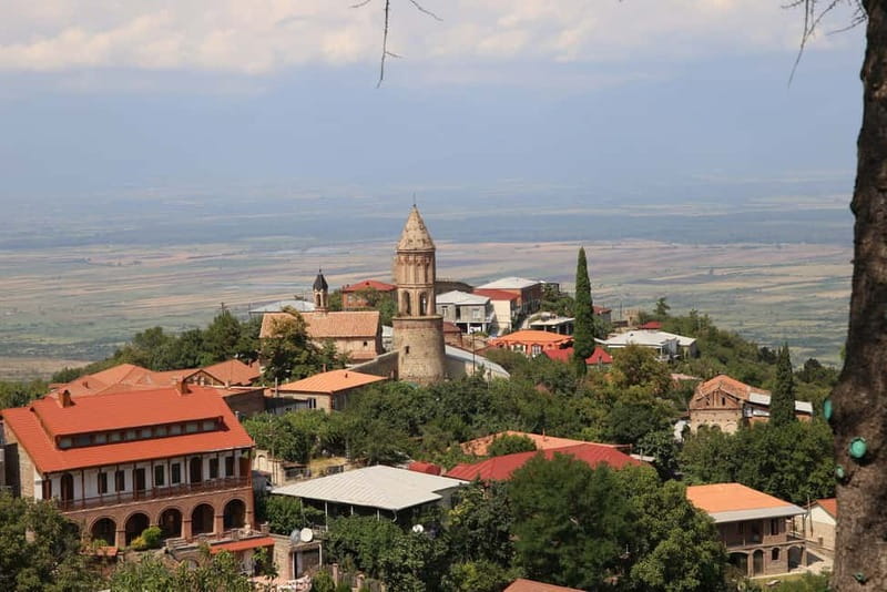 From Tbilisi: Kakheti & Sighnaghi Guided Day Trip with Wine - The guide can shape the entire day
