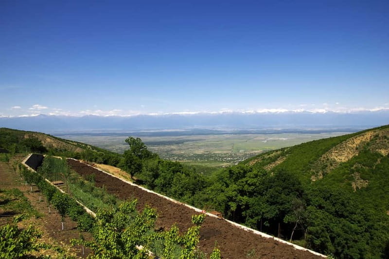 From Tbilisi: Kakheti & Sighnaghi Guided Day Trip with Wine - Manavi starts the food trail