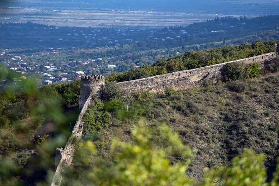 From Tbilisi: Kakheti Wine Region Tour with 9 Wine Tasting - Telavi combines lunch, wine, and old Kakheti