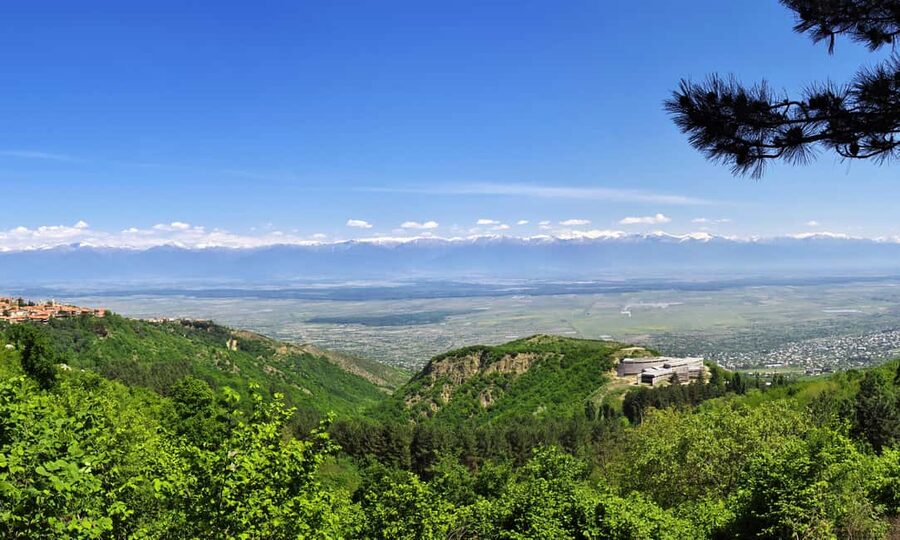 From Tbilisi: Kakheti Wine Region Tour with 9 Wine Tasting - The guide can shape the whole day