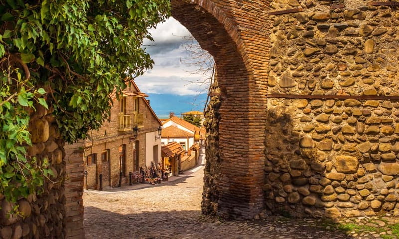 From Tbilisi: Kakheti Wine Region Tour with 9 Wine Tastings - Who will enjoy this tour most?