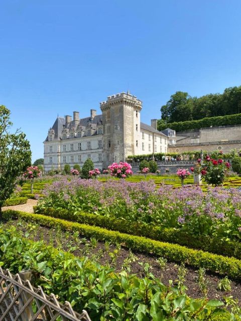 From Tours: Afternoon Loire Valley Wine Tour - Inside a Vouvray winery and its underground caves