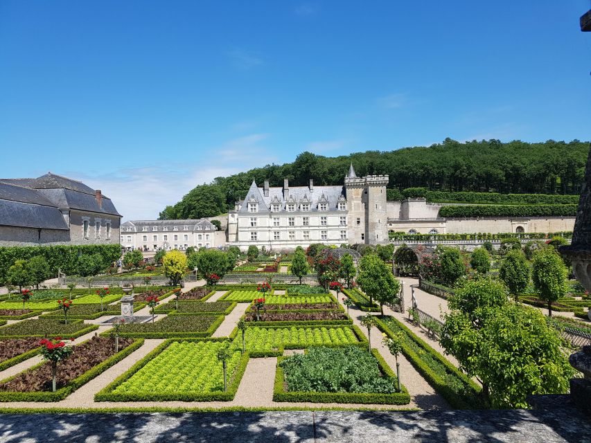 From Tours: Afternoon Loire Valley Wine Tour - My final take on the booking decision