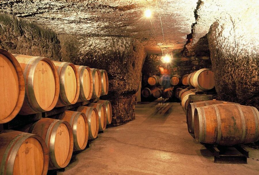 From Tours: Loire Valley Wineries Day Trip with Tastings - A wine day built around Cabernet Franc