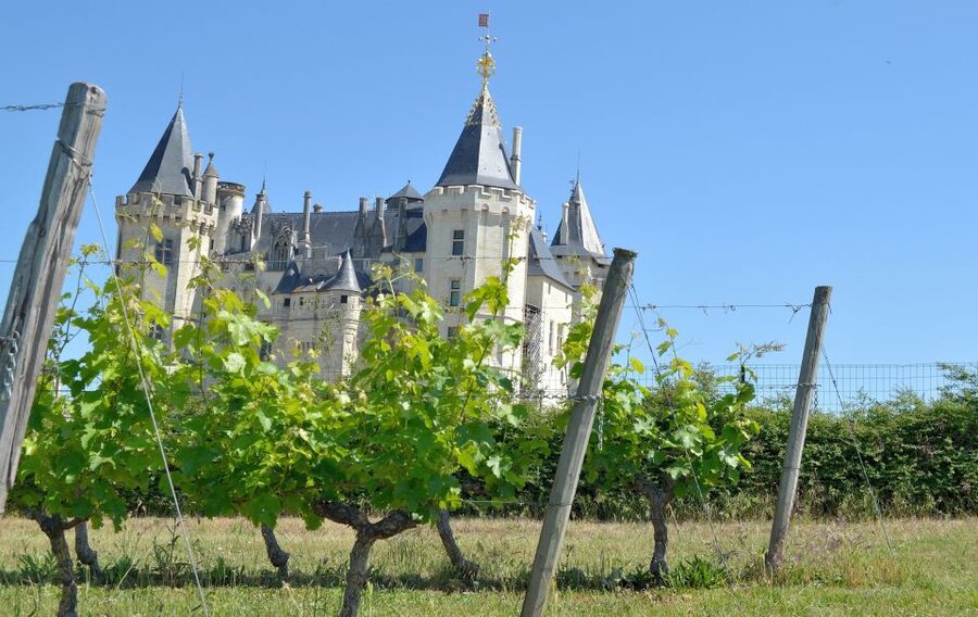 From Tours: Loire Valley Wineries Day Trip with Tastings - Leaving Tours in a comfortable small group