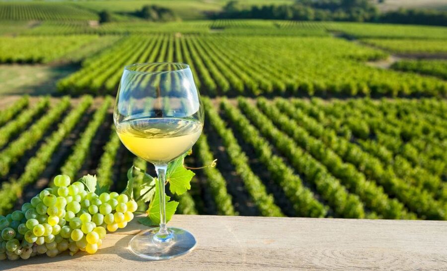 From Tours: Loire Valley Wineries Day Trip with Tastings - Chinon, half-timbered houses, and a proper lunch break