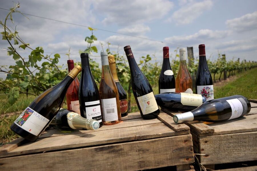 From Tours: Loire Valley Wineries Day Trip with Tastings - The second tasting: comparing Chinon and Bourgueil