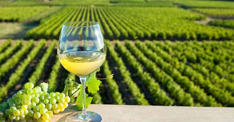 From Tours: Loire Valley Wineries Day Trip with Tastings - Practical details before you book