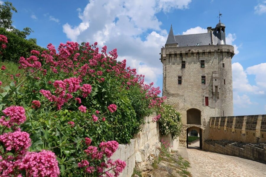 From Tours: Loire Valley Wineries Day Trip with Tastings - Who will enjoy this Loire Valley day?