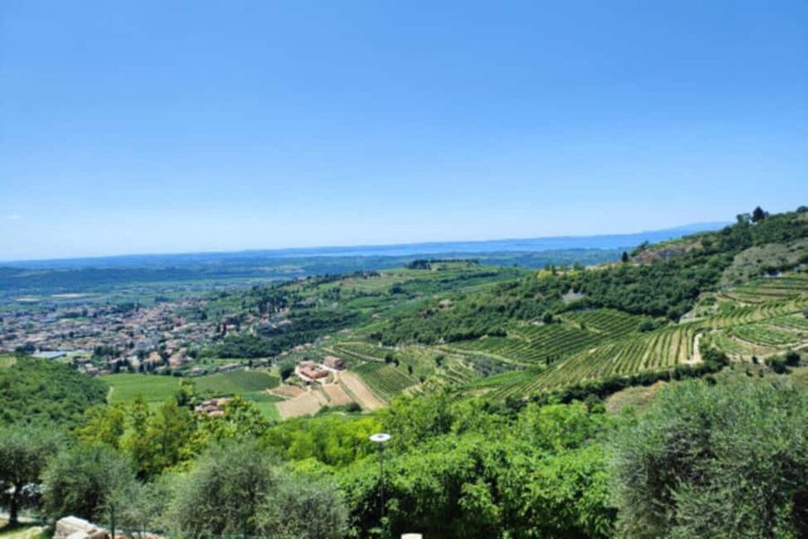 From Verona: Amarone Half-Day Wine Tasting Tour - Why Amarone makes this short tour worthwhile