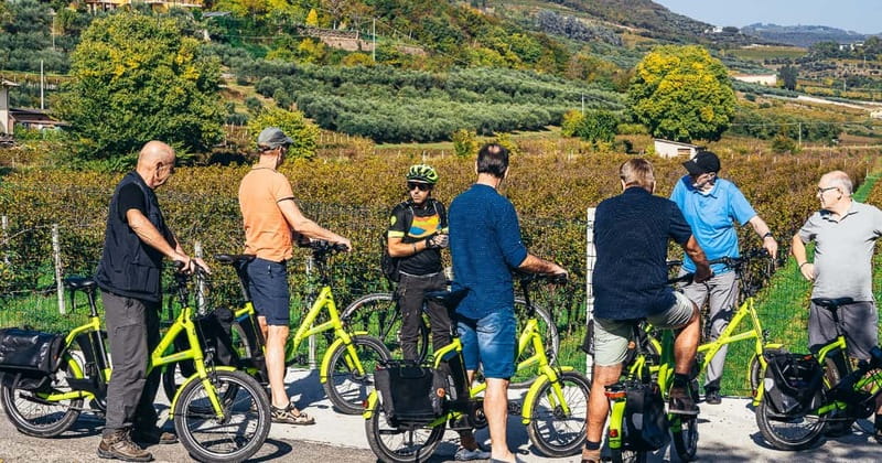 From Verona: Amarone Wine E-Bike Tour with Tasting - Key points to know before booking