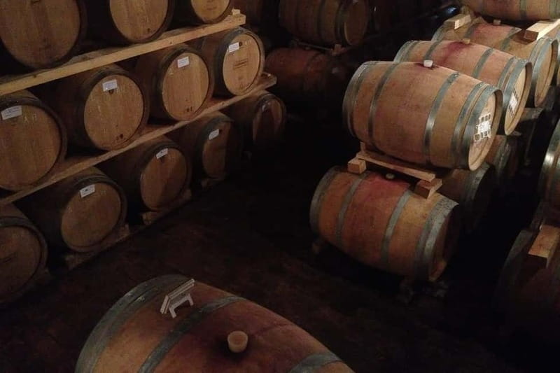 From Verona: Amarone Wine E-Bike Tour with Tasting - From Verona streets to the Valpolicella hills