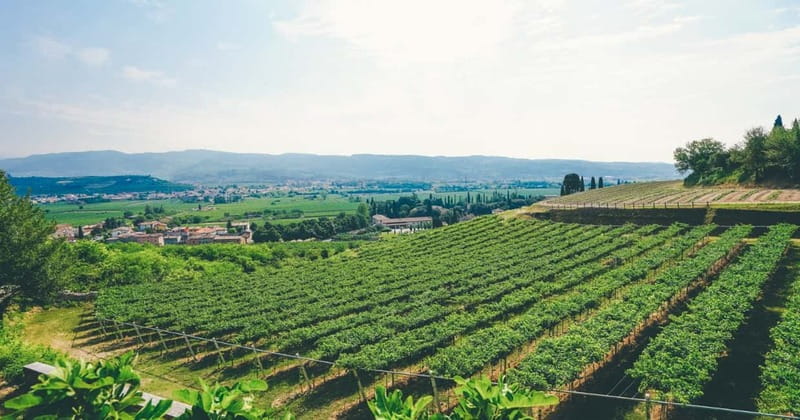 From Verona: Amarone Wine E-Bike Tour with Tasting - Timing, meeting point, and planning details