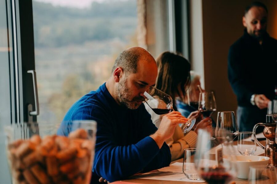 From Verona: Valpolicella and Amarone Wine Tasting Tour - Who will enjoy this Valpolicella outing?