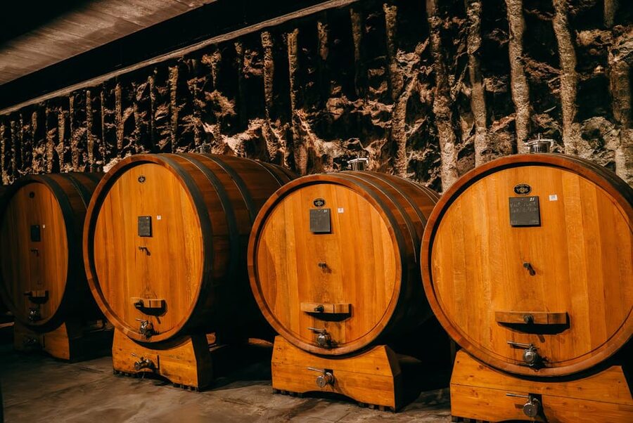 From Verona: Valpolicella and Amarone Wine Tasting Tour - From Verona to the Valpolicella hills in 30 minutes