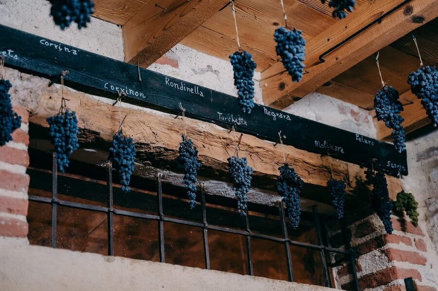From Verona: Valpolicella and Amarone Wine Tasting Tour - What makes the food pairings worthwhile
