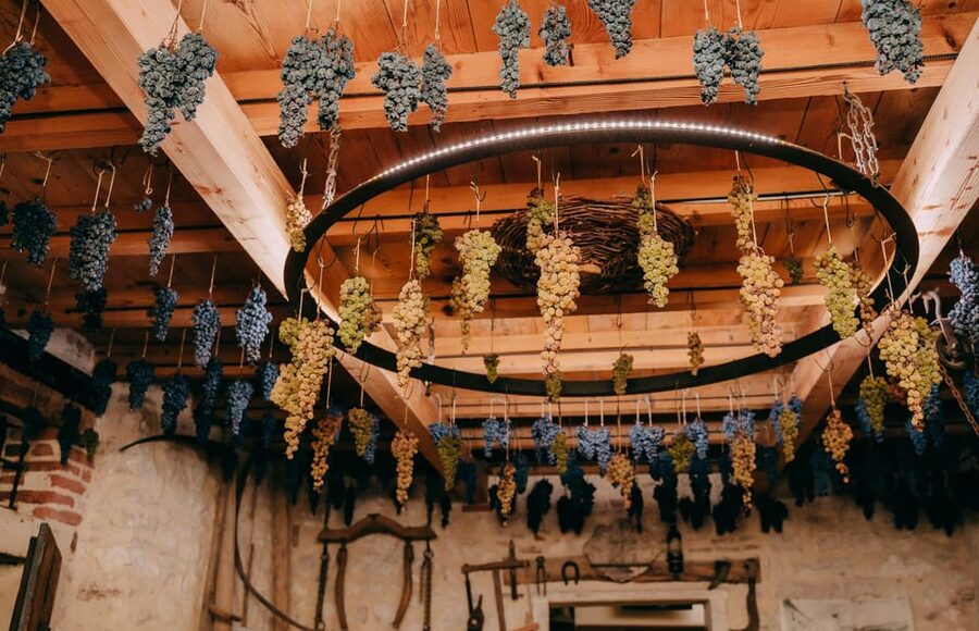 From Verona: Valpolicella and Amarone Wine Tasting Tour - Timing, comfort, and practical limits