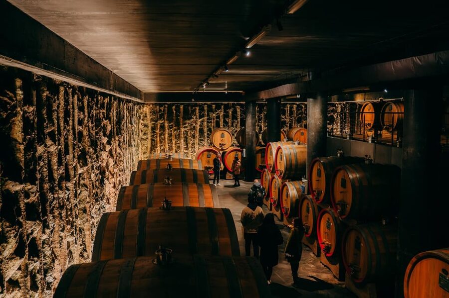 From Verona: Valpolicella and Amarone Wine Tasting Tour - Why Amarone and Ripasso need some explanation